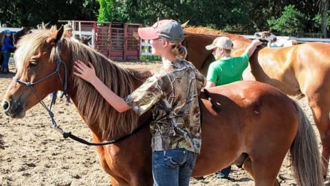 4 H Club petting a horse
