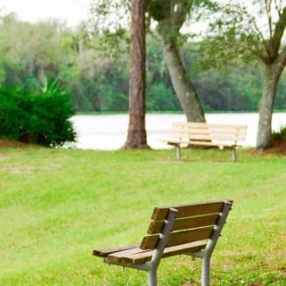 Relaxing park bench at Bob Mason Park