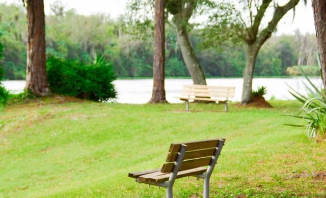 Wooden bench facing the water at Bob Mason Park in LaBelle, Florida