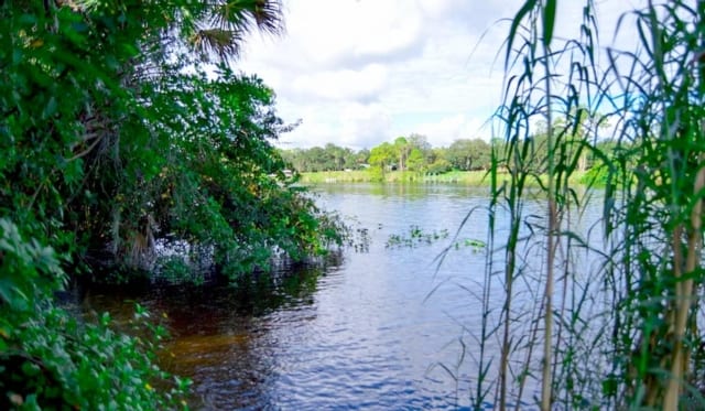 Lush green vegetation frame a calm section of the Caloosahatchee River at LaBelle Nature Park.