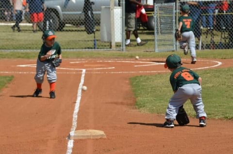 Little League players in action