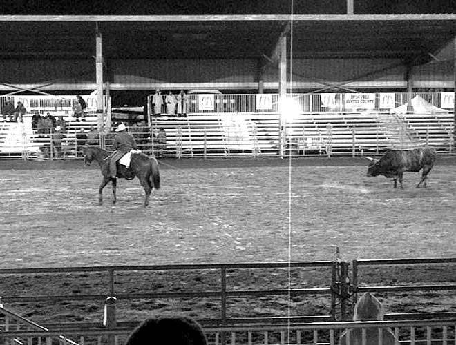Rodeo Arena housing a rodeo event