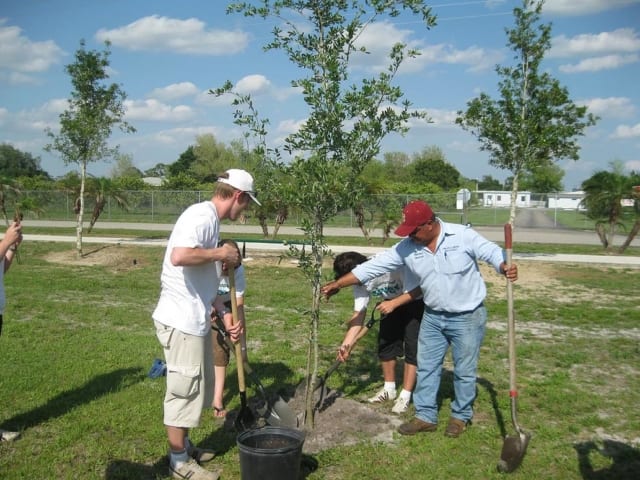 Volunteer work in the parks